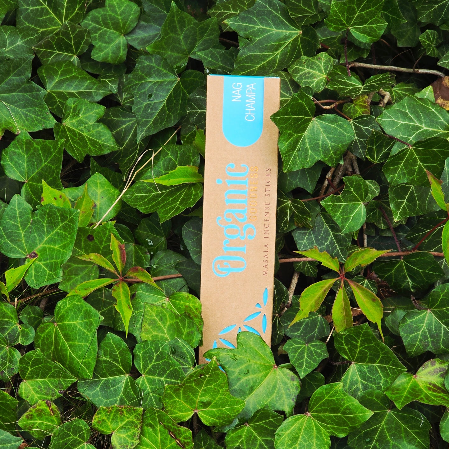 Rökelsepinnar "Nag Champa" Song of India-Organic