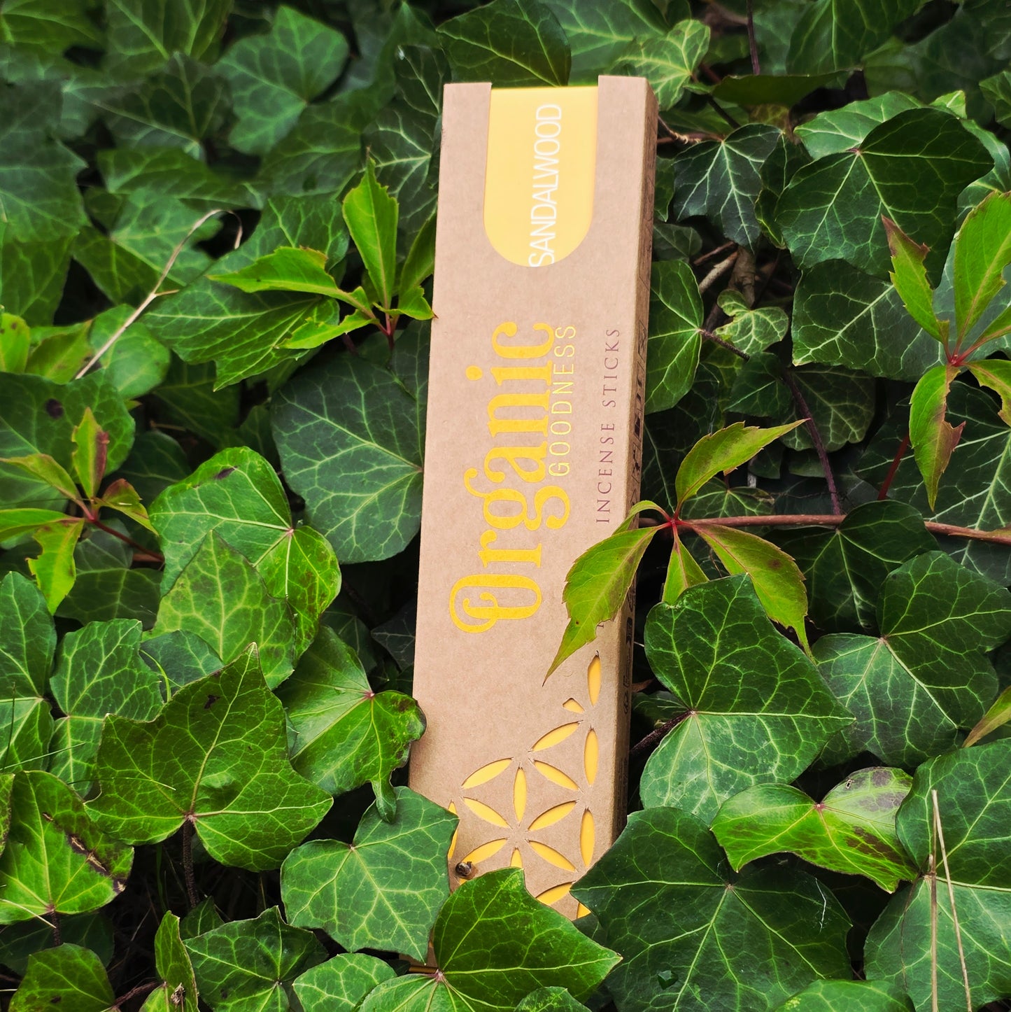 Rökelselepinnar "Sandalträ" Song of India-Organic