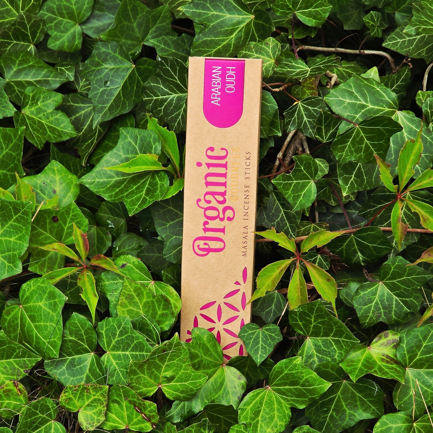 Rökelselepinnar Arabian Oudh "Song of India" Ekologisk